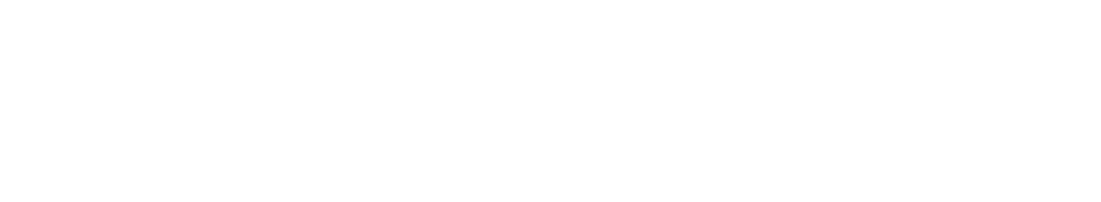DataSIM